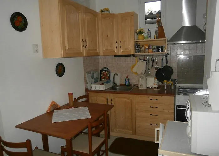 Csikasz Vendeghaz דירה Nagyvisnyó